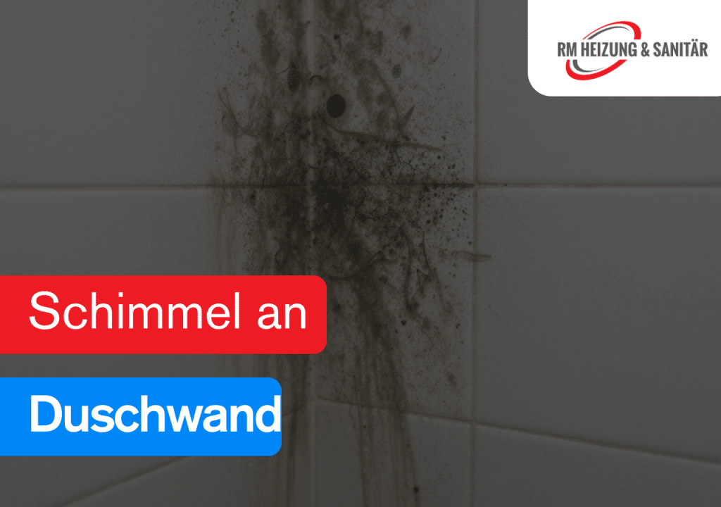 Schimmel an Duschwand